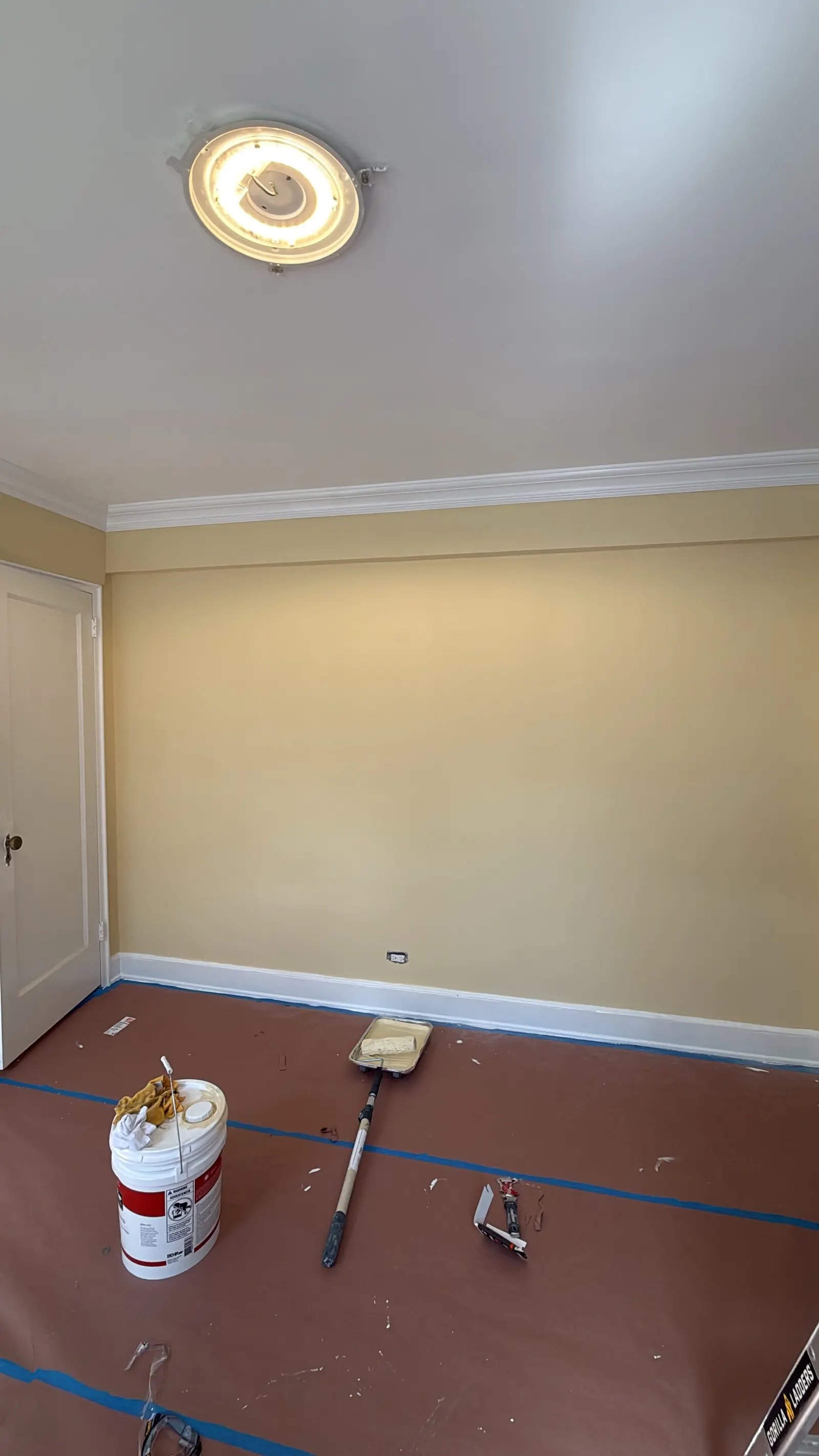 Freshly painted prewar NYC apartment bedroom with crown molding and white trim
